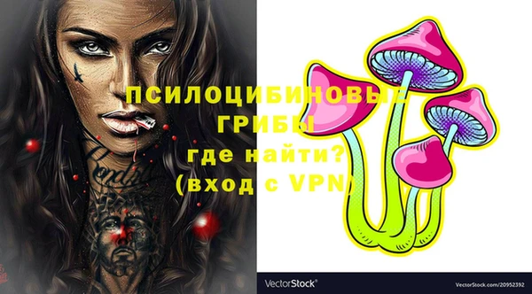 дмт Корсаков