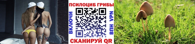 Купить где  Долинск  Псилоцибиновые грибы мицелий 